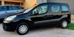 
Citroën Berlingo 1.6 HDi FAP full									