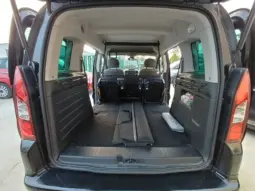 
Citroën Berlingo Multispace BlueHDi Selection full									
